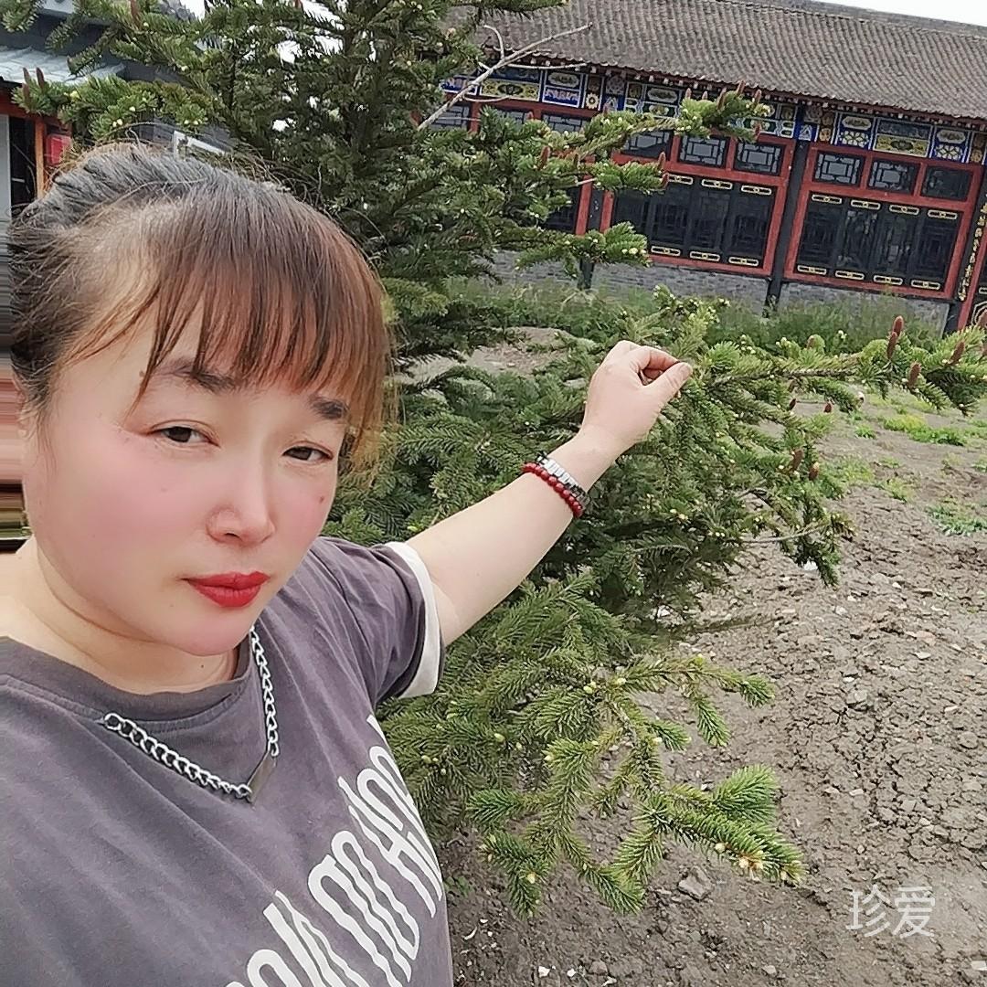 找一个依靠