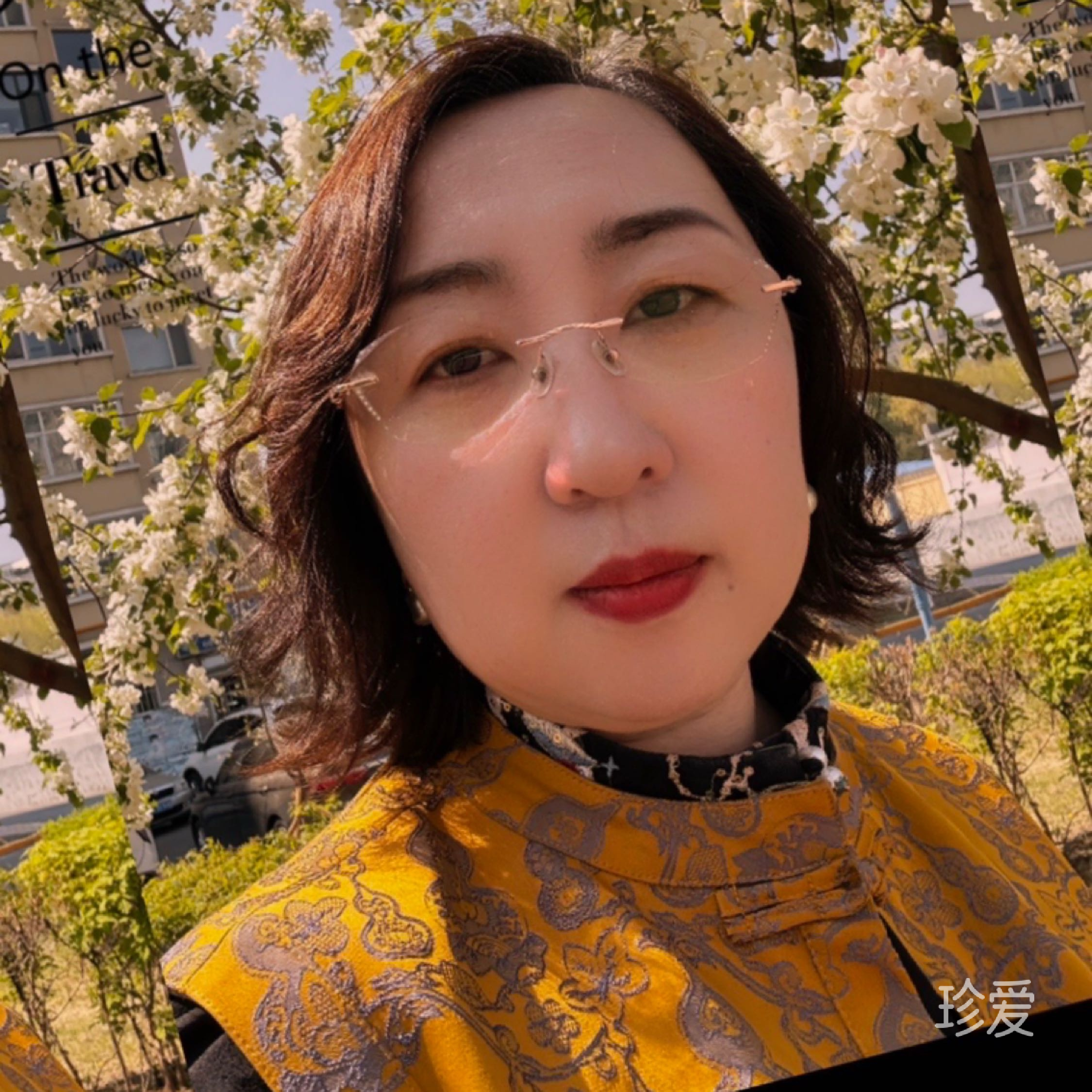傲雪孤梅