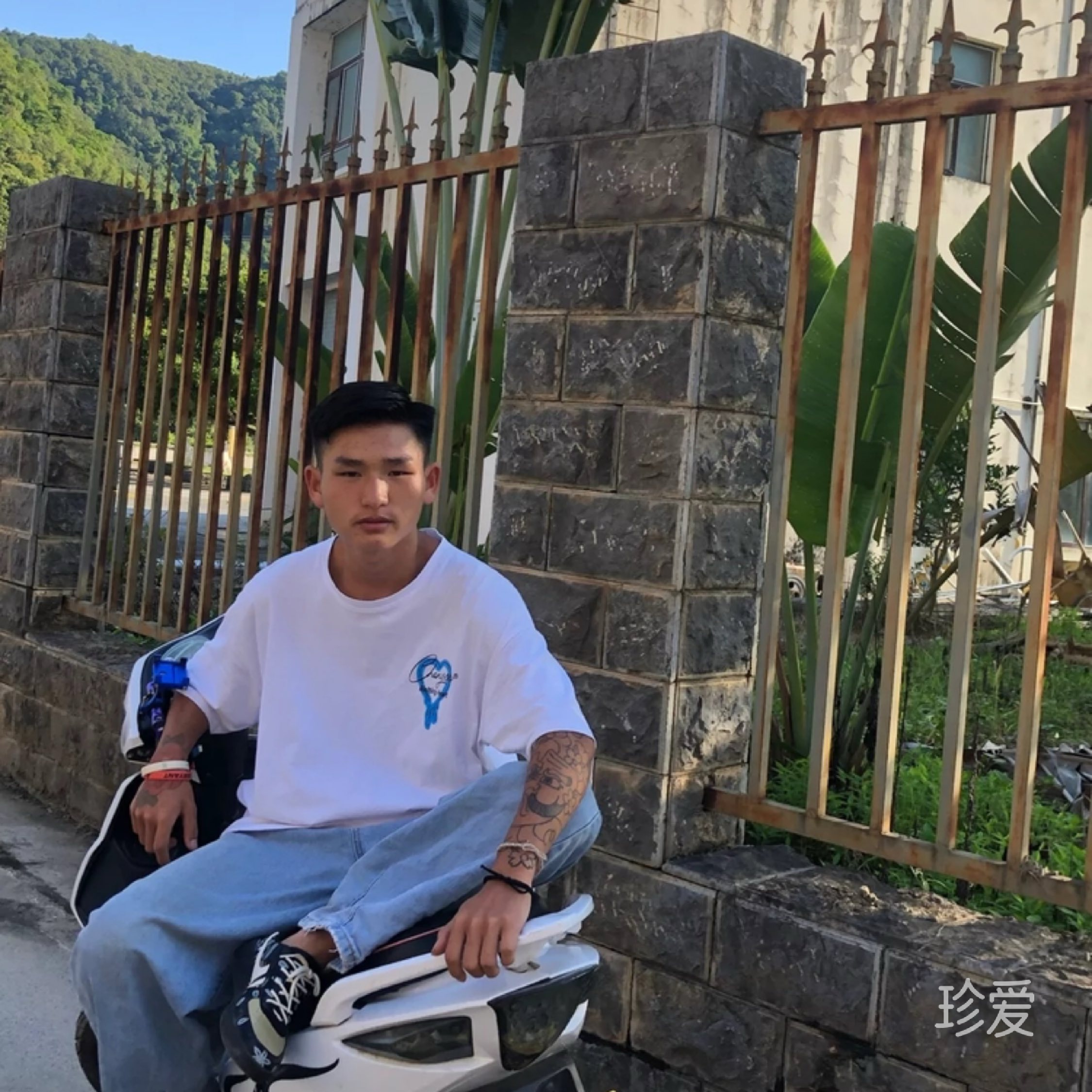 无须理由