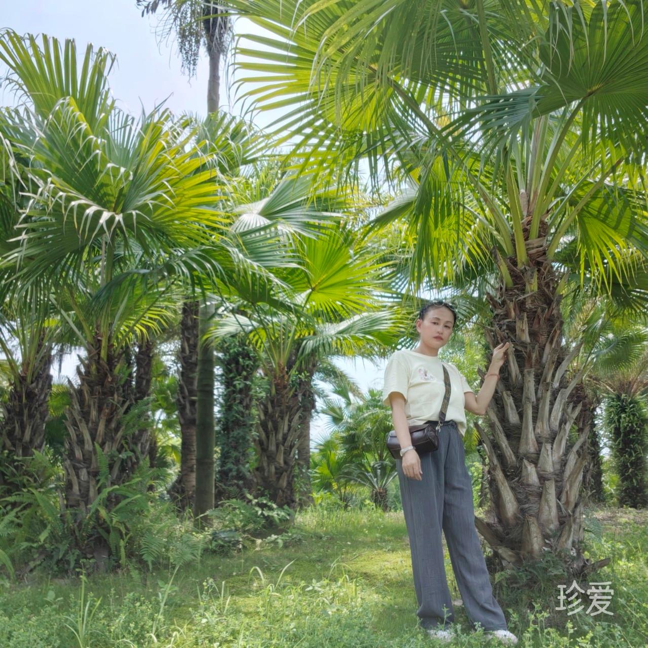 美好的未来