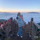 壞女人和她的惡犬