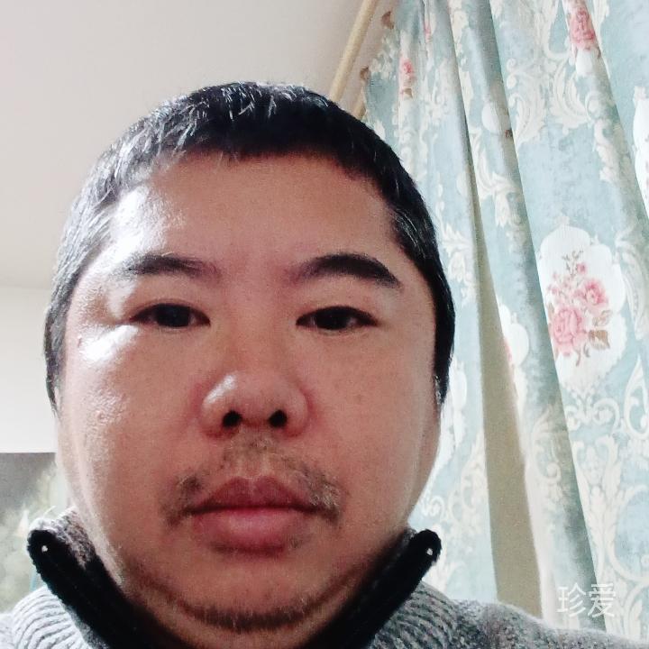千万富贵猪九戒