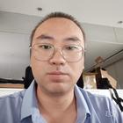 沙漠胡楊