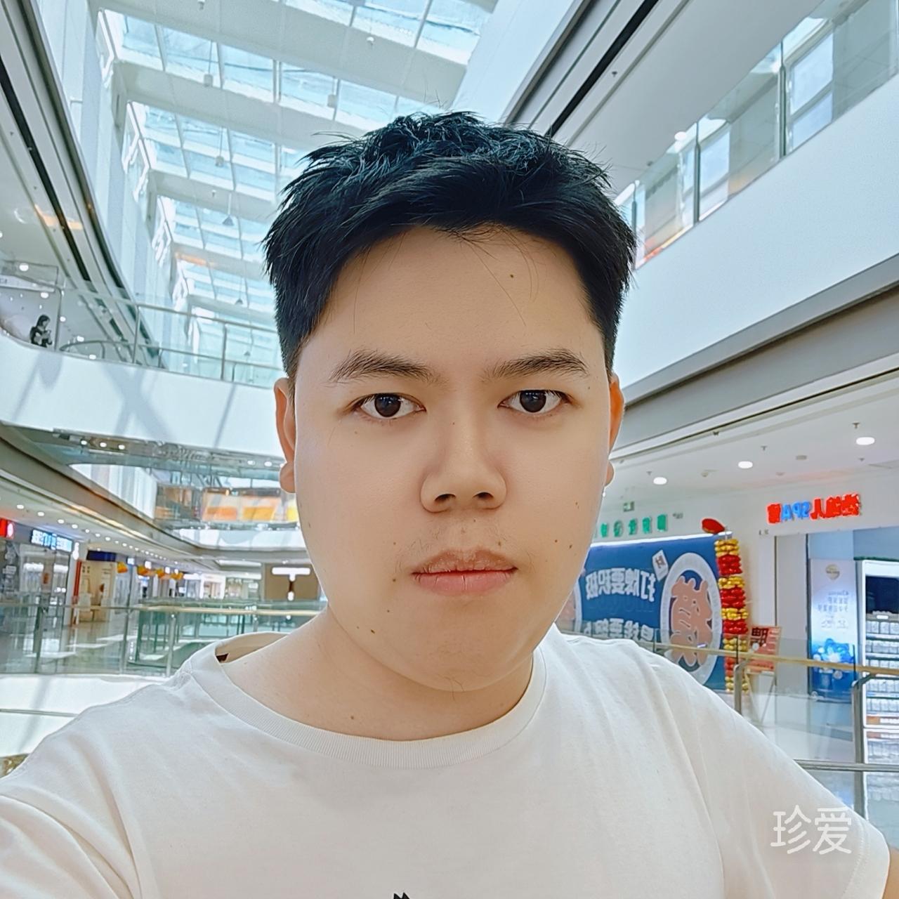 冬天的一棵树