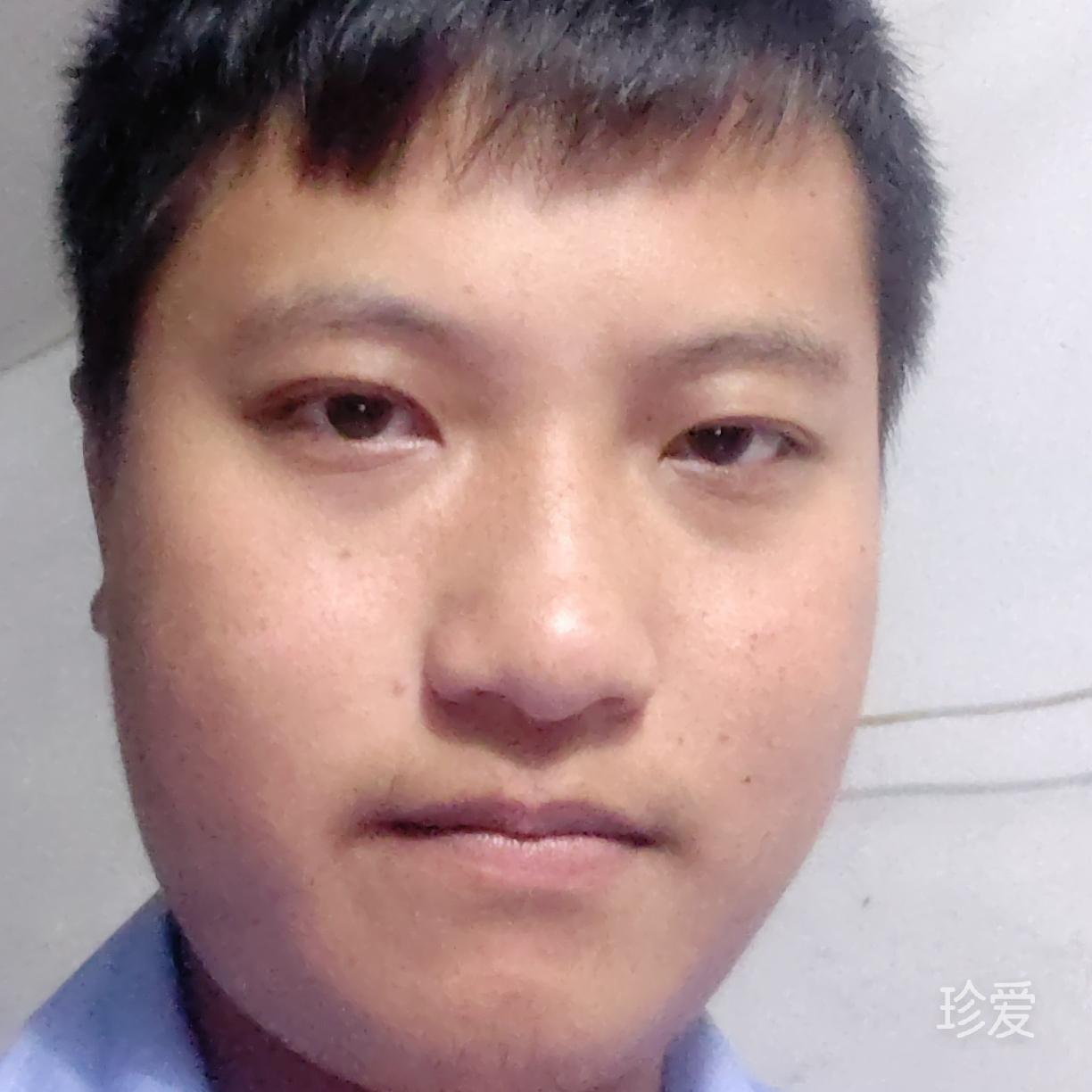 费尔班克斯绯雪