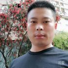 沙漠駱駝