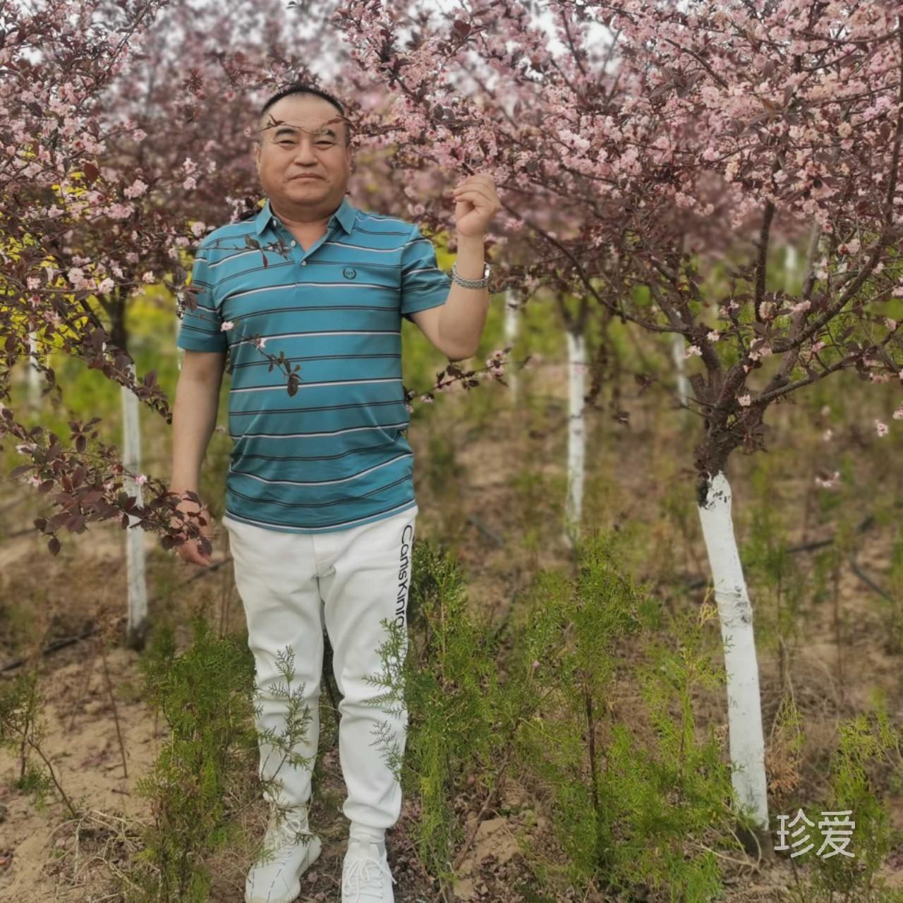 羡晖哥陶瓷薄板