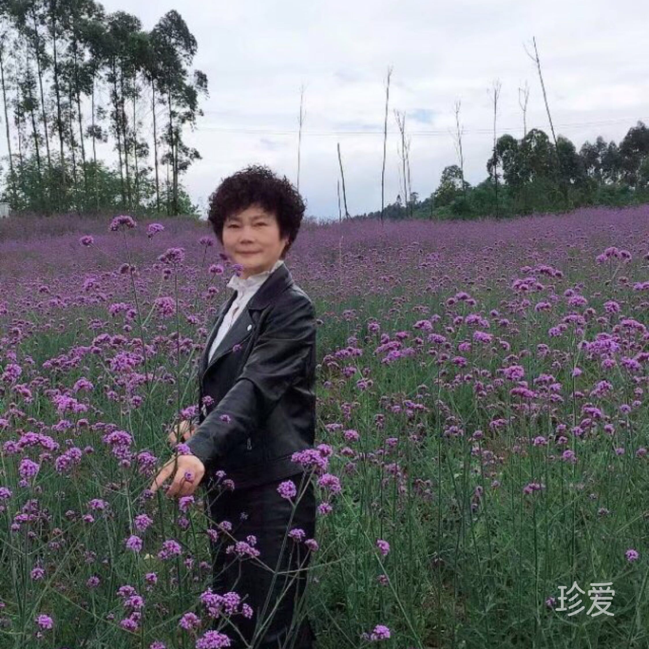 等待真爱的来临