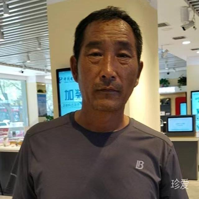 游子归来