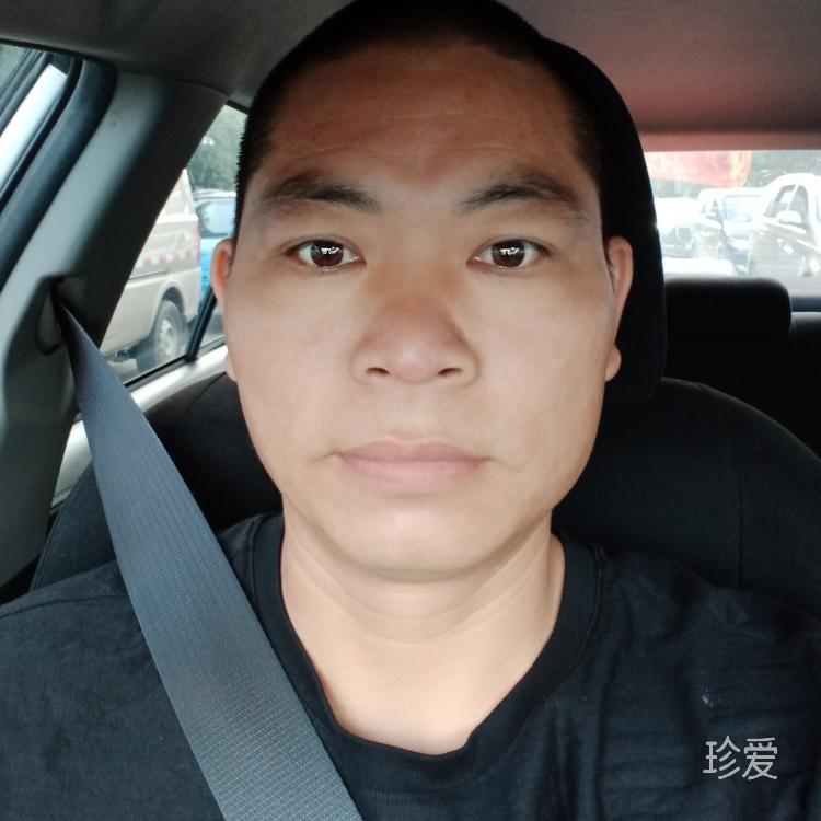 风雨中的彩虹