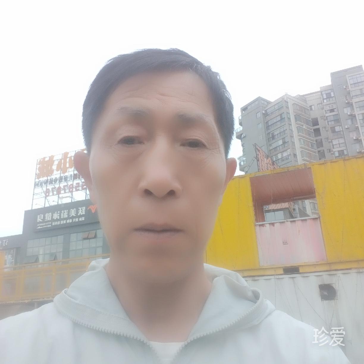 孤獨(dú)求伴尋夢(mèng)緣