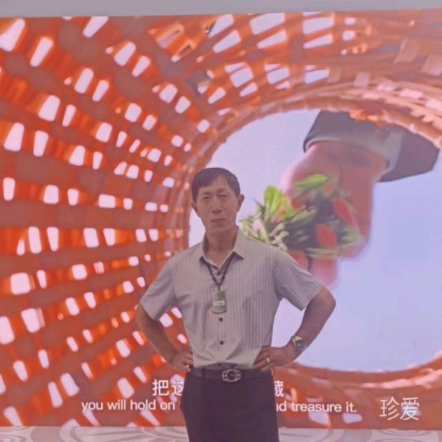 孤獨求伴尋夢緣