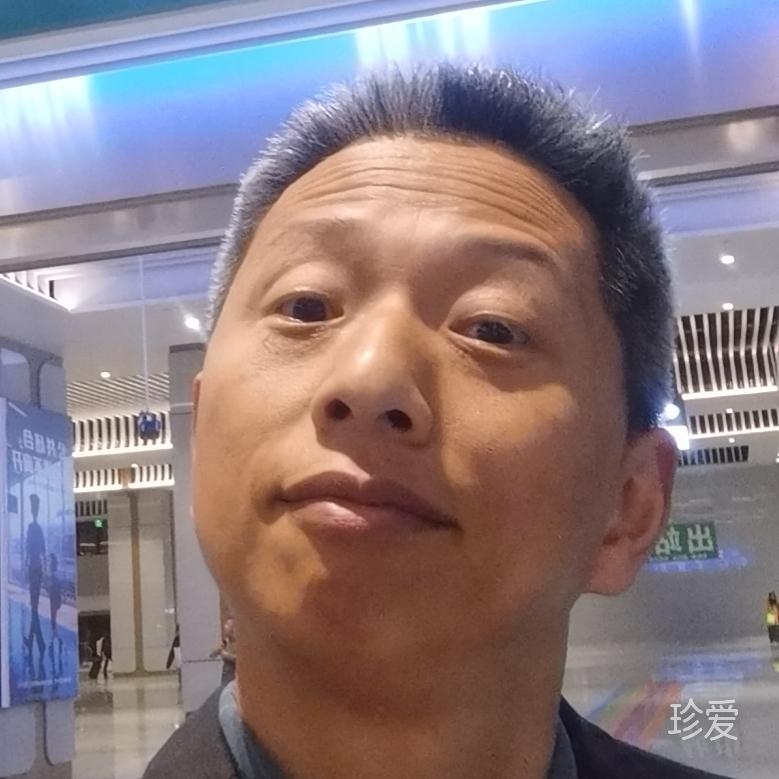 淡淡的到达