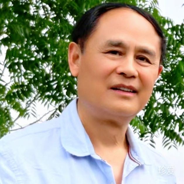 动静相宜