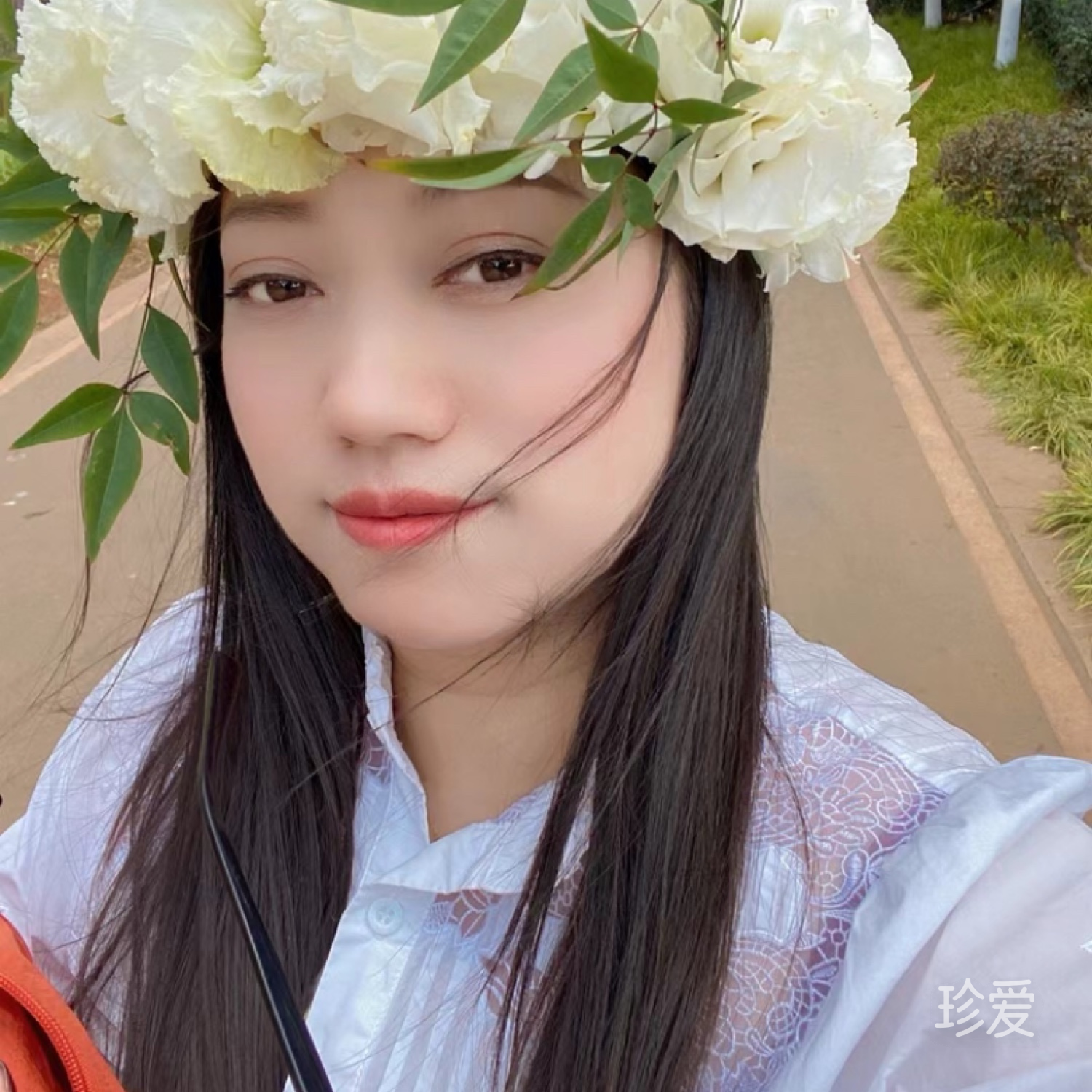 兰花豆