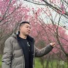 為你而來(lái)