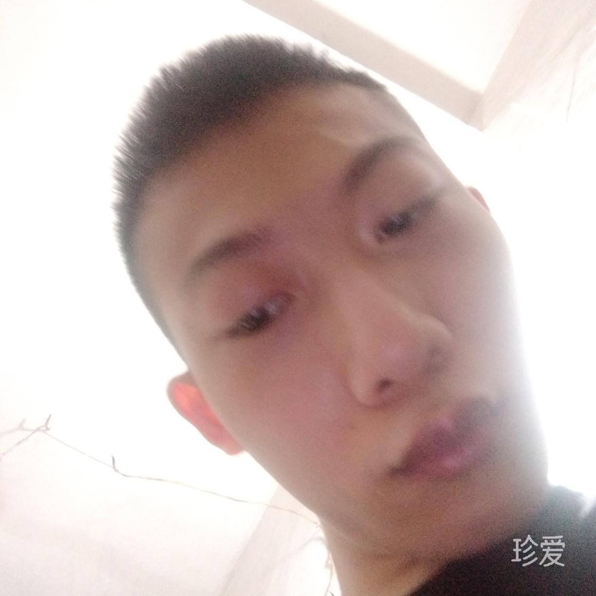 清风无忧