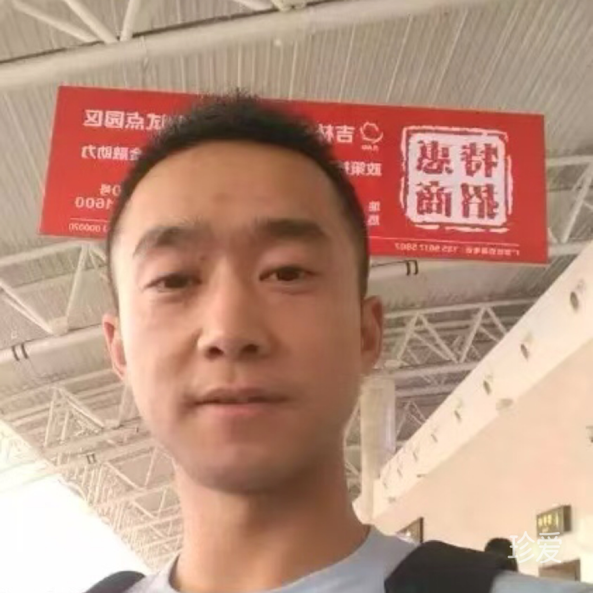 那年冬天猪在飞