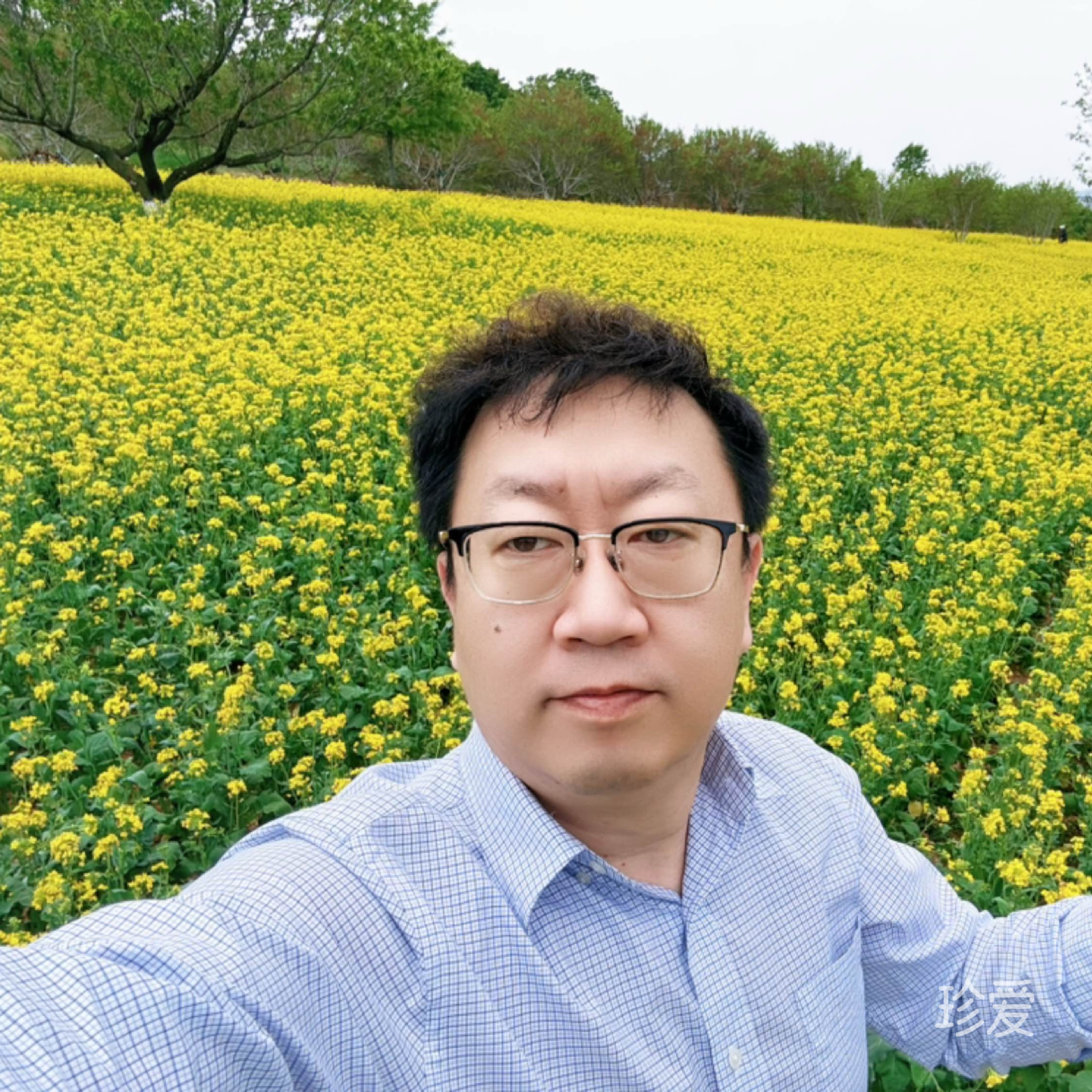 蘑菇