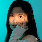 月光下的風(fēng)尾竹