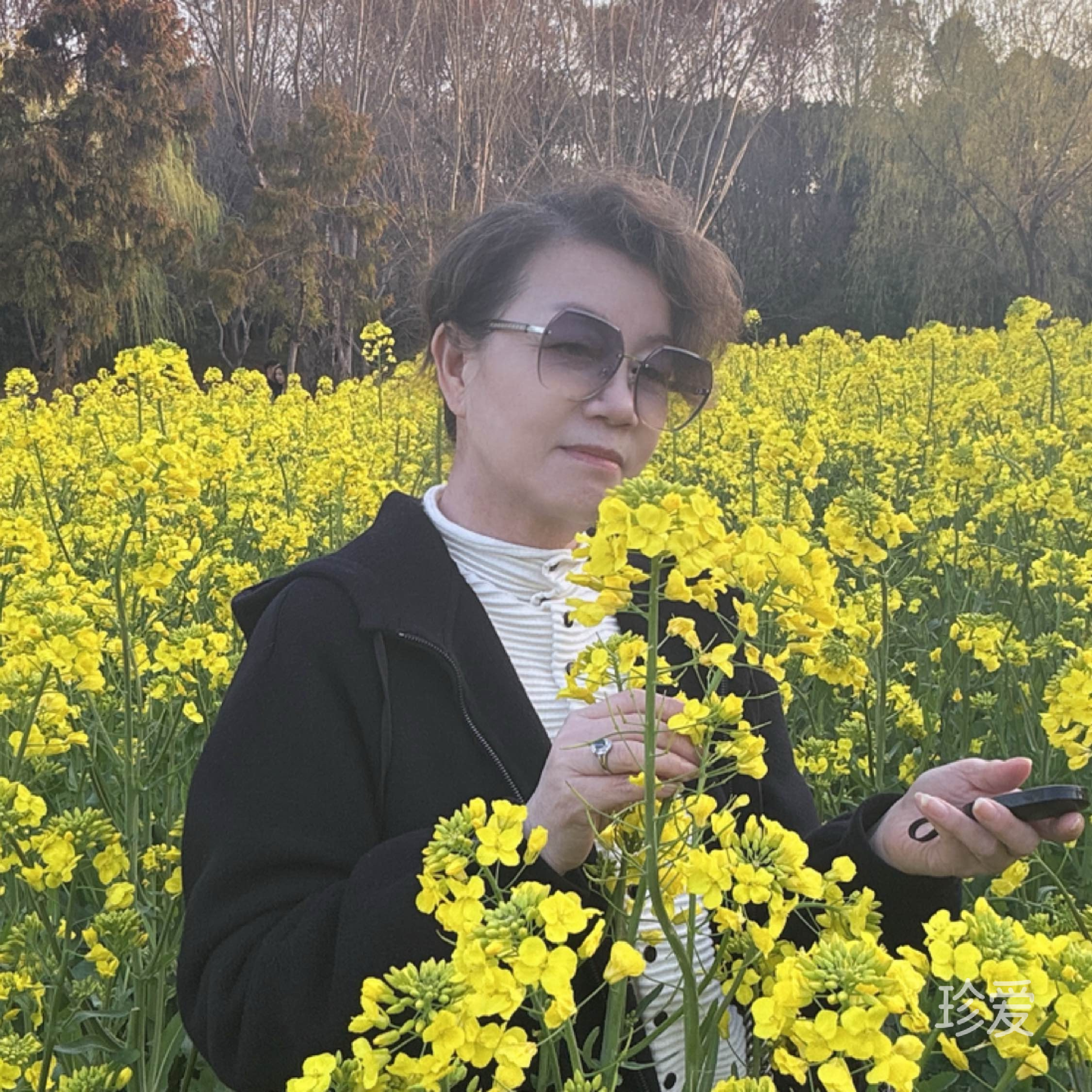 白梅