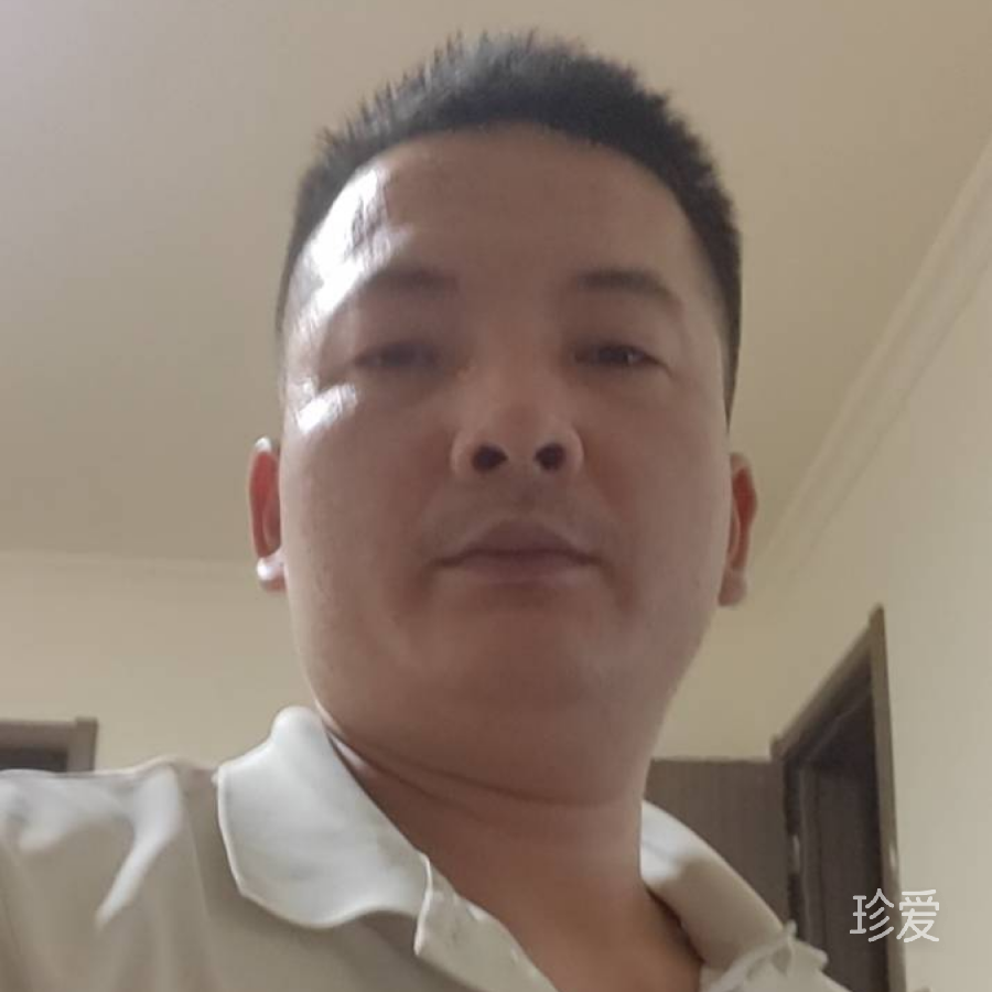 自由的风