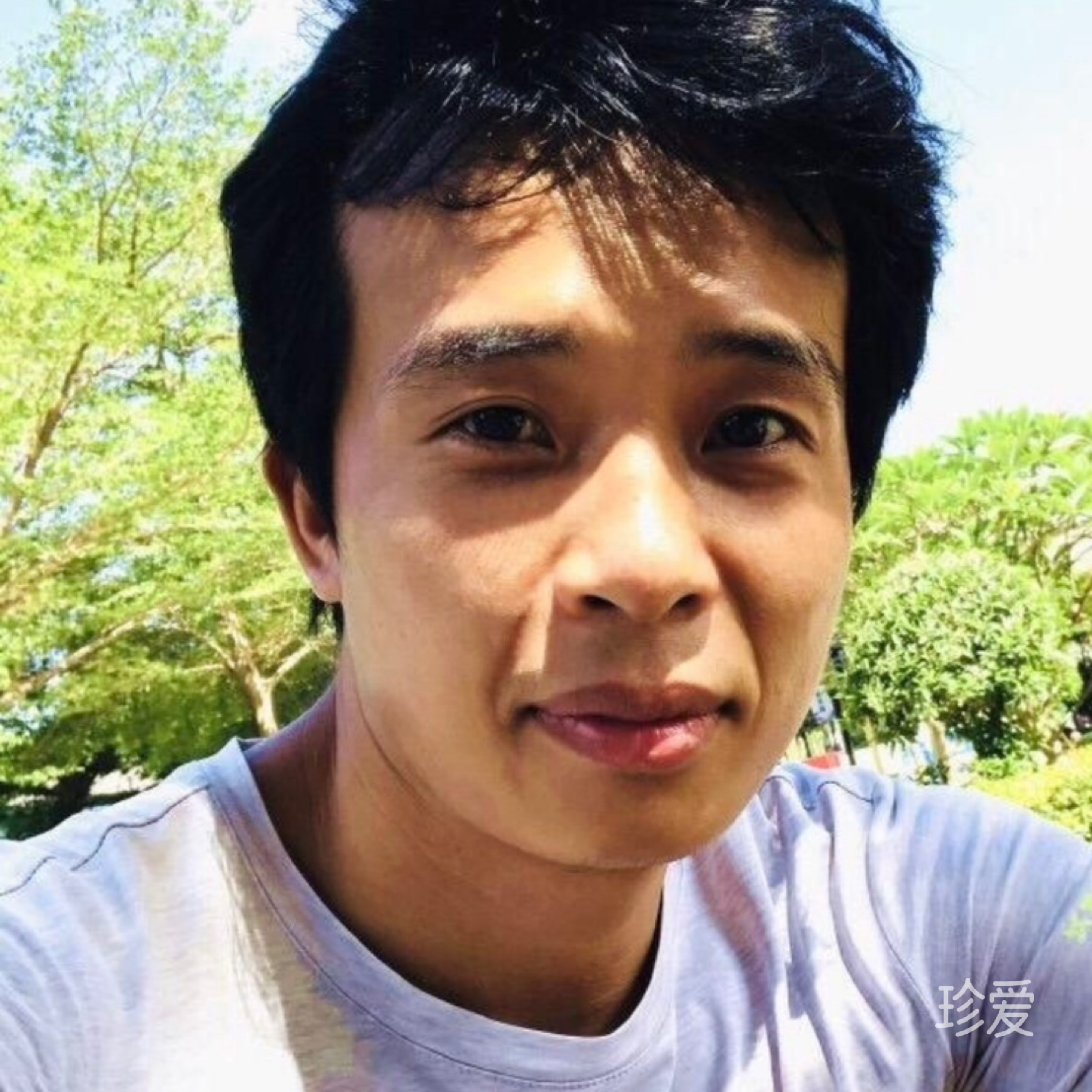 花开四季