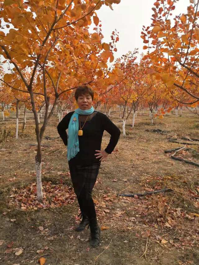 眼淚的錯(cuò)覺