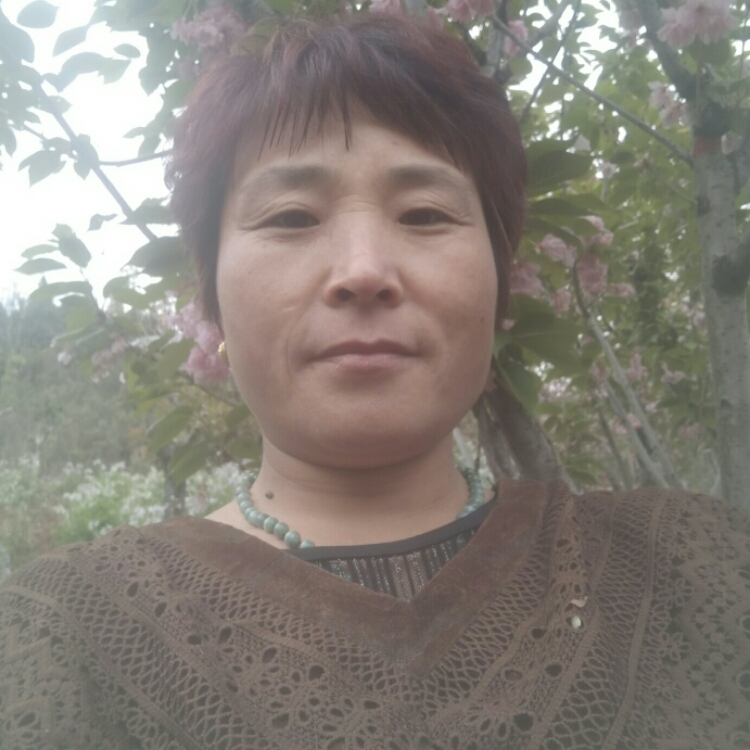 風(fēng)干的玫瑰