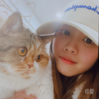 阿喵i