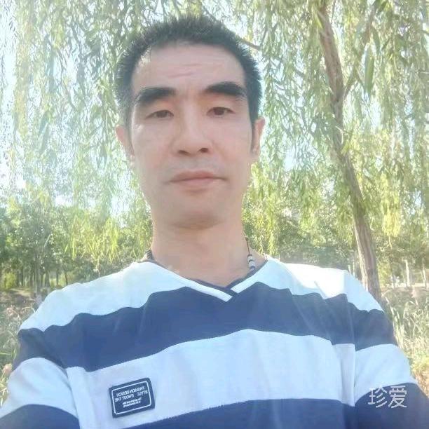 一片叶子