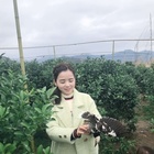 飄浮的云