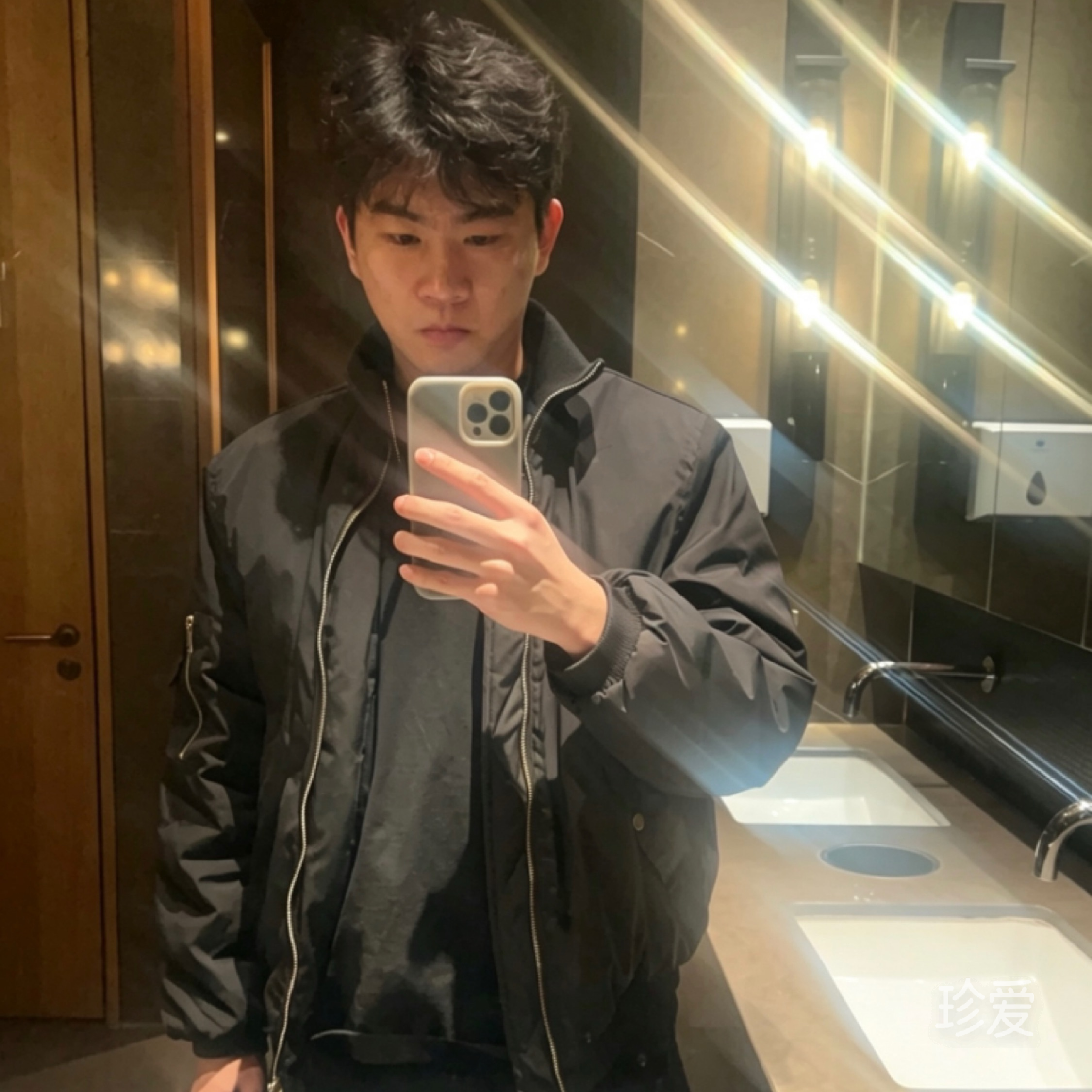 呆萌的小柯基