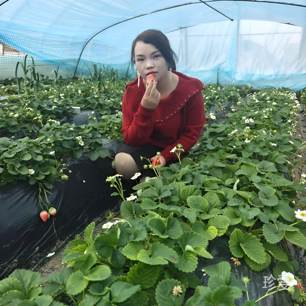心如月