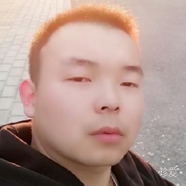 飘落的树叶