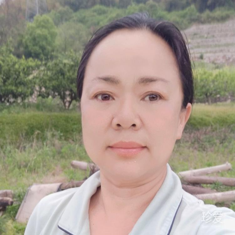 我的真心喂過狗