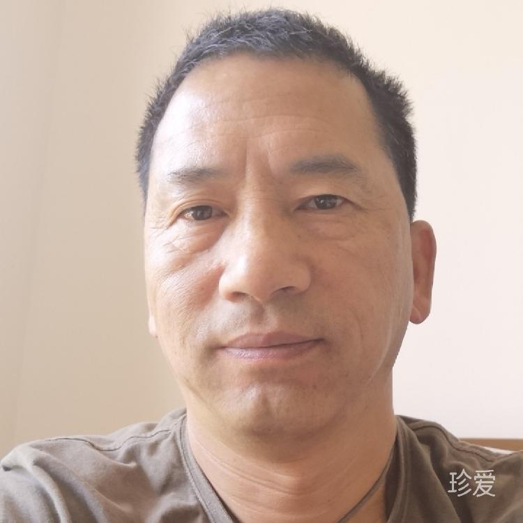 鱼儿