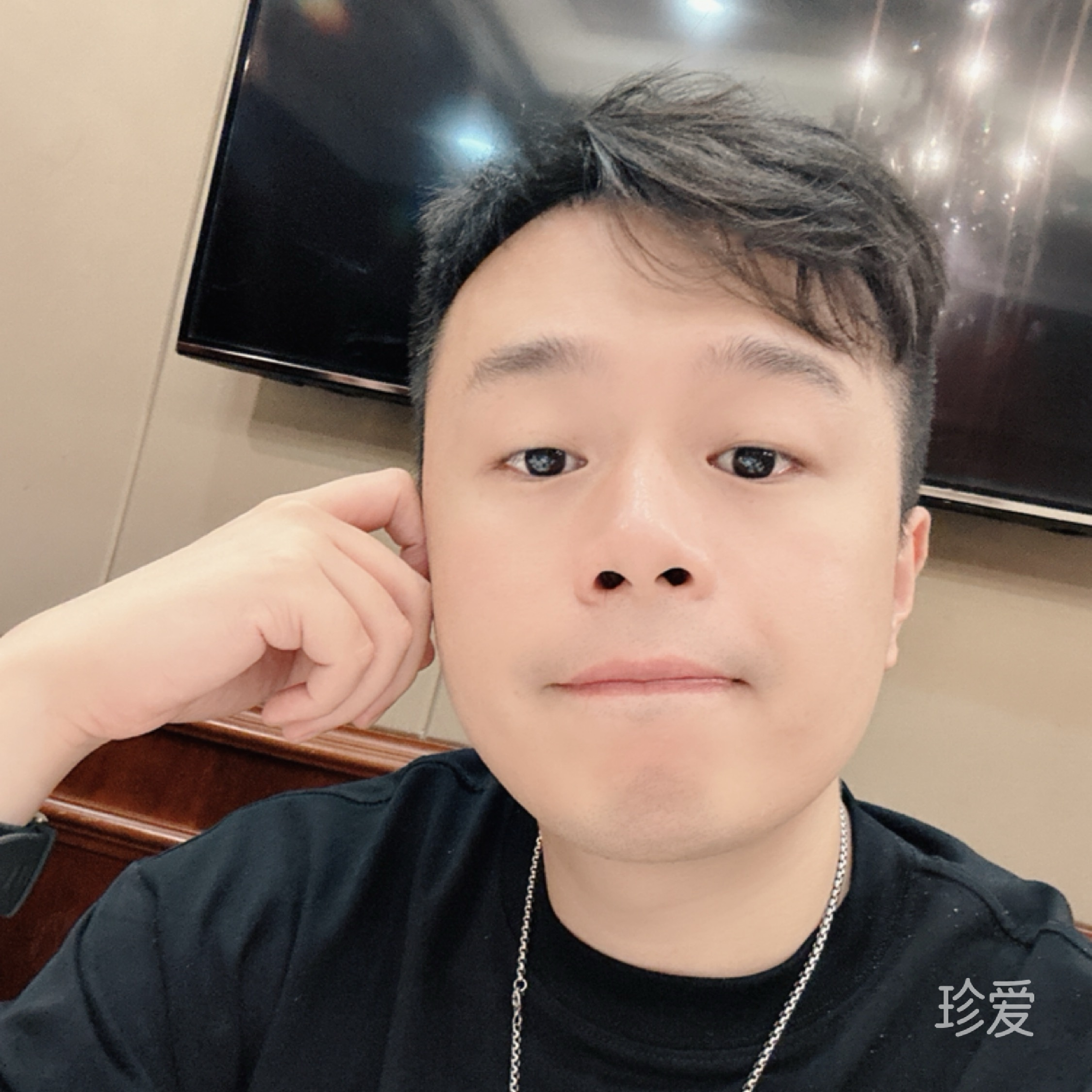 自由的风