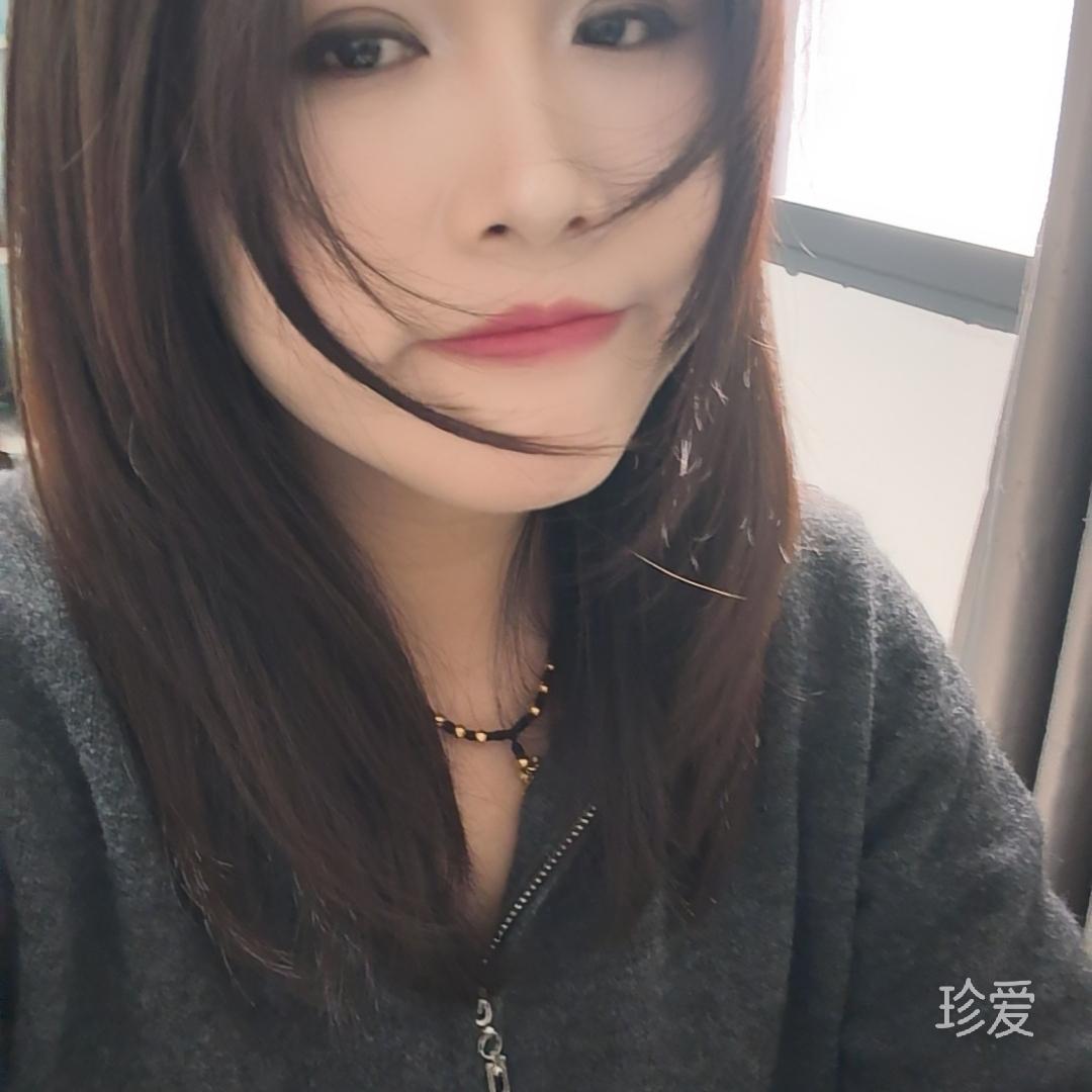 猫猫