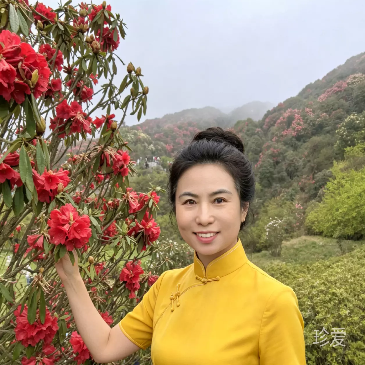 菲凡