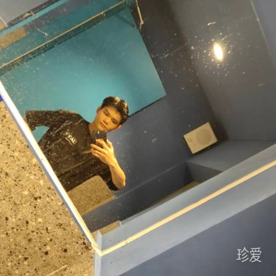 寂寞梧桐