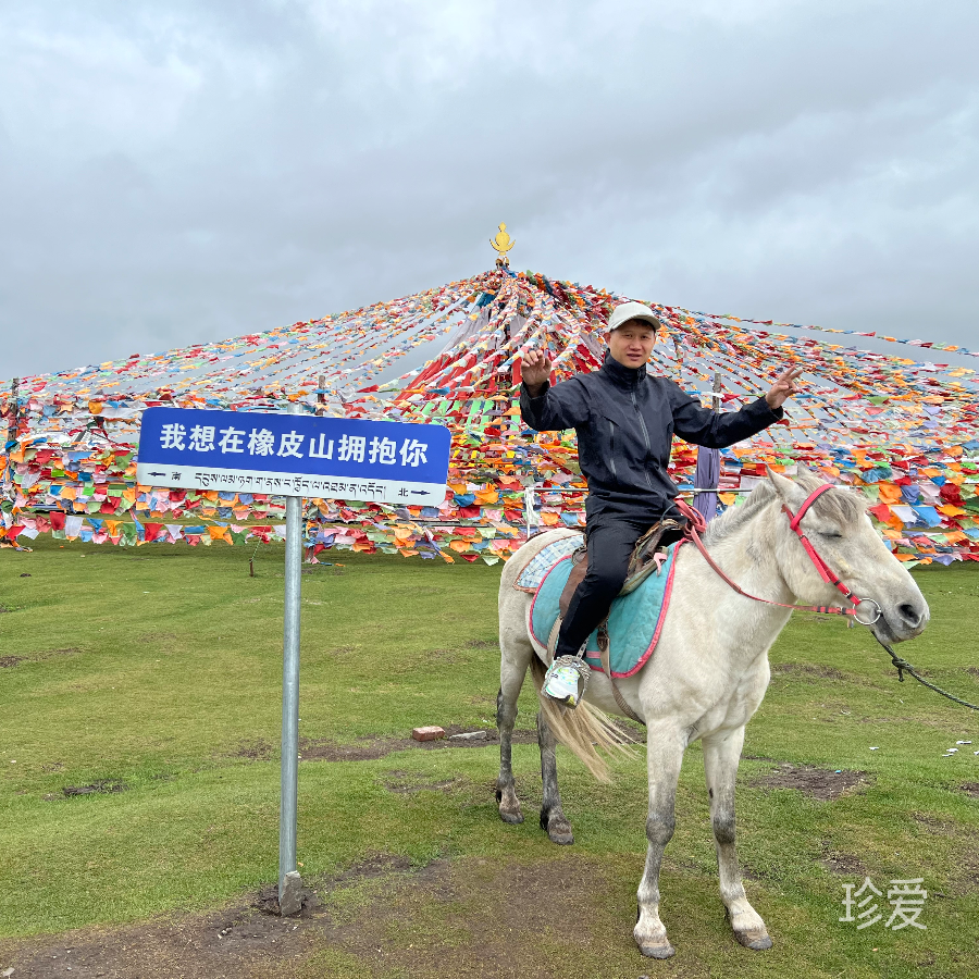 老帅
