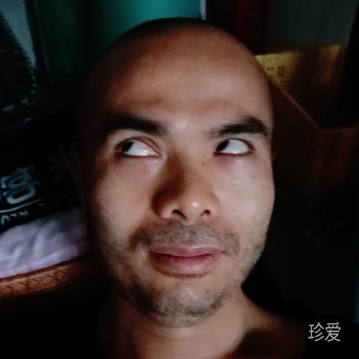 特克斯瓣膜墨迹驱