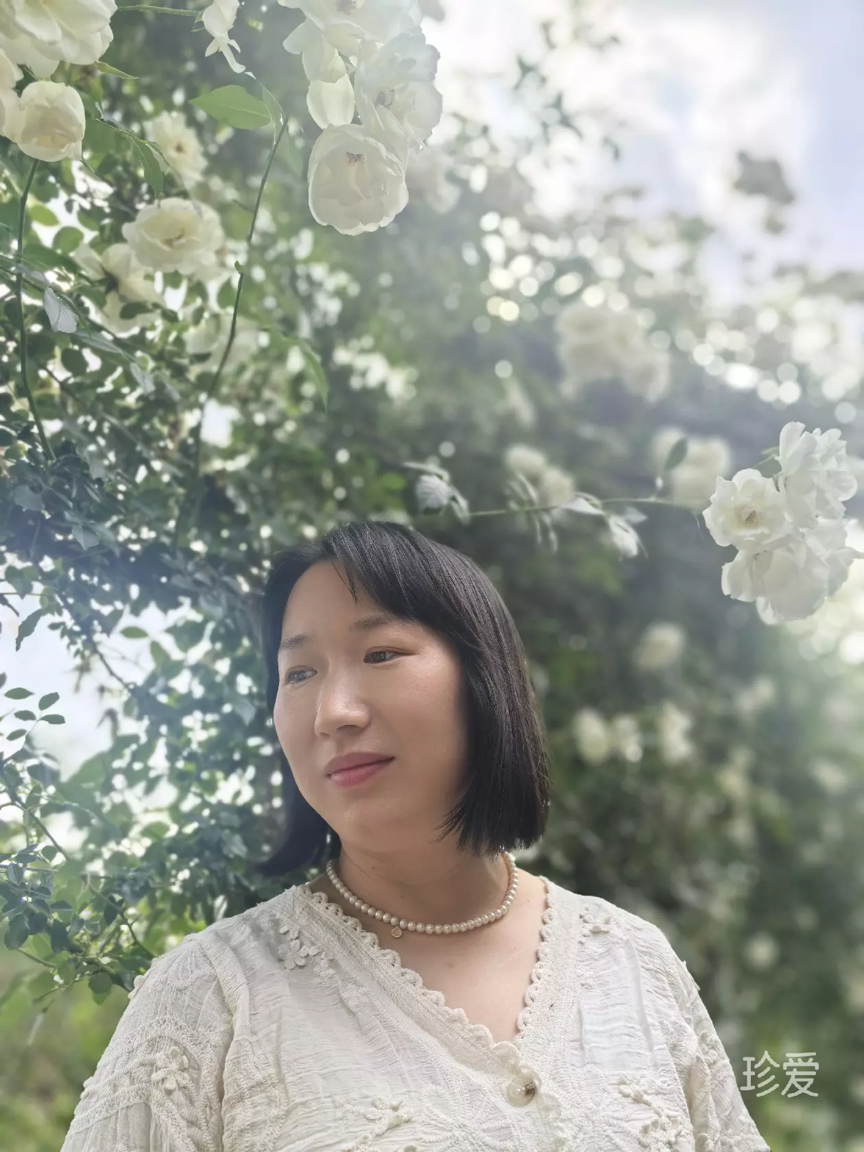 清予