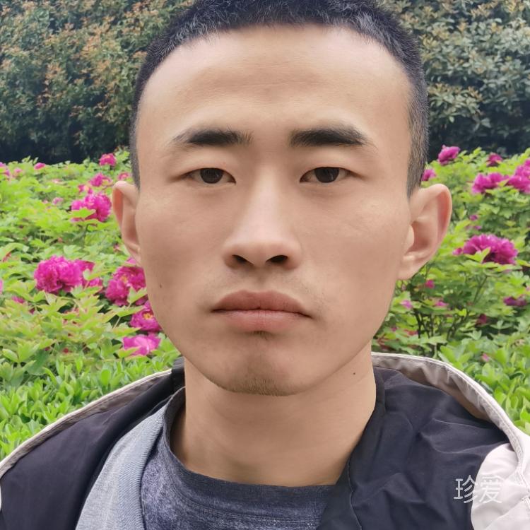 一颗心只为你
