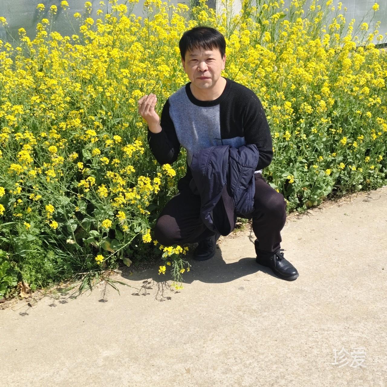 深Alan