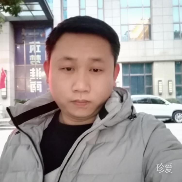 隨風的落葉