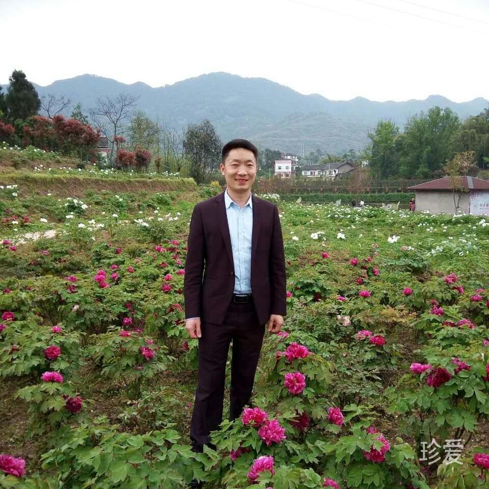 聽(tīng)風(fēng)來(lái)i