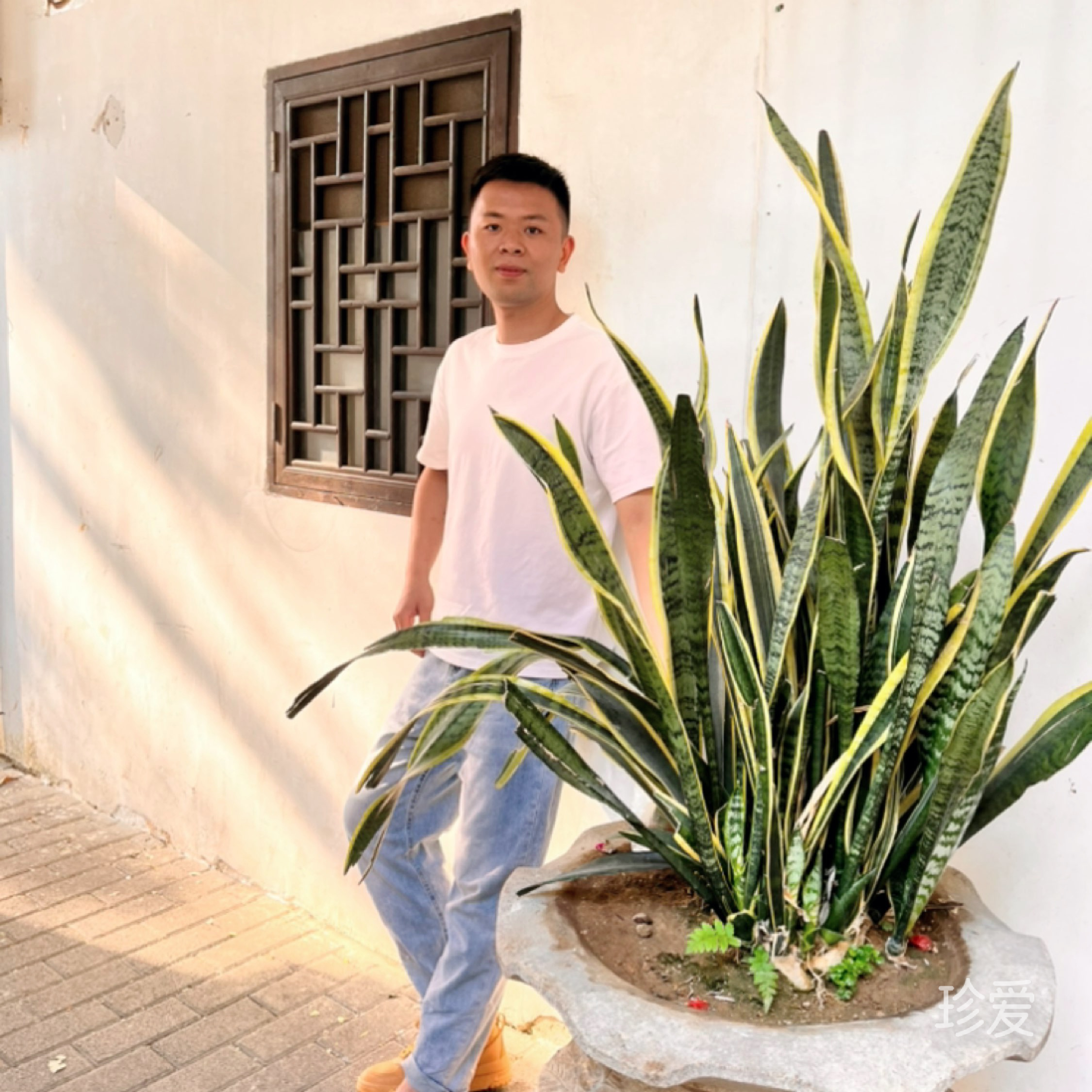做一个懂你的人