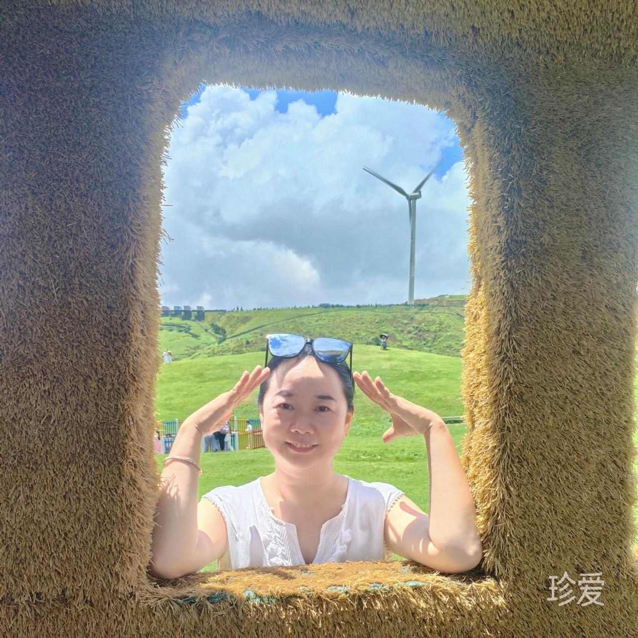 梅梅
